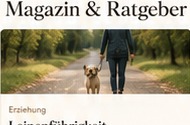 Zecken, Heuschnupfen, Frühjahrsmüdigkeit?