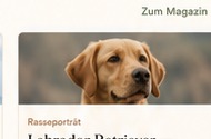 Was Trainer aus Schweden anders machen