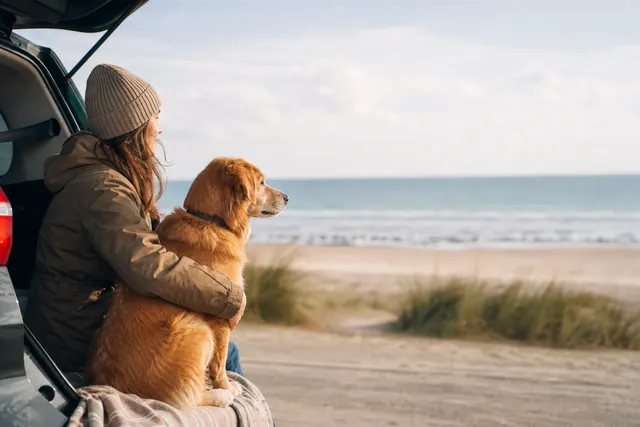 Urlaub mit Hund: So wird jede Reise entspannt