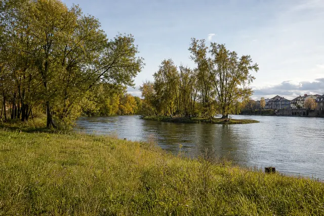 Neckarwiese & Inselwörth